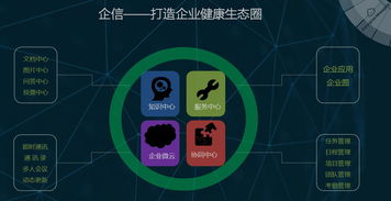 上海云意网络科技有限公司 深耕网络技术，赋能智慧未来